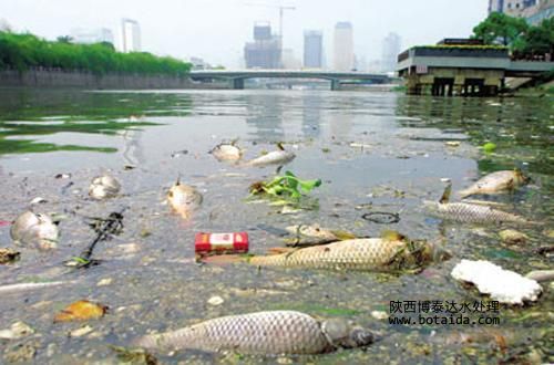 離子交換樹脂對污染如何進(jìn)行處理？